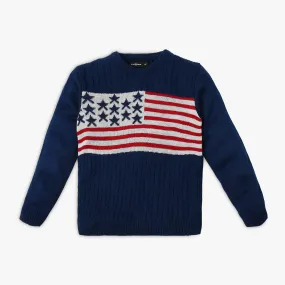 Boy's Regular Fit Jacquard Sweater