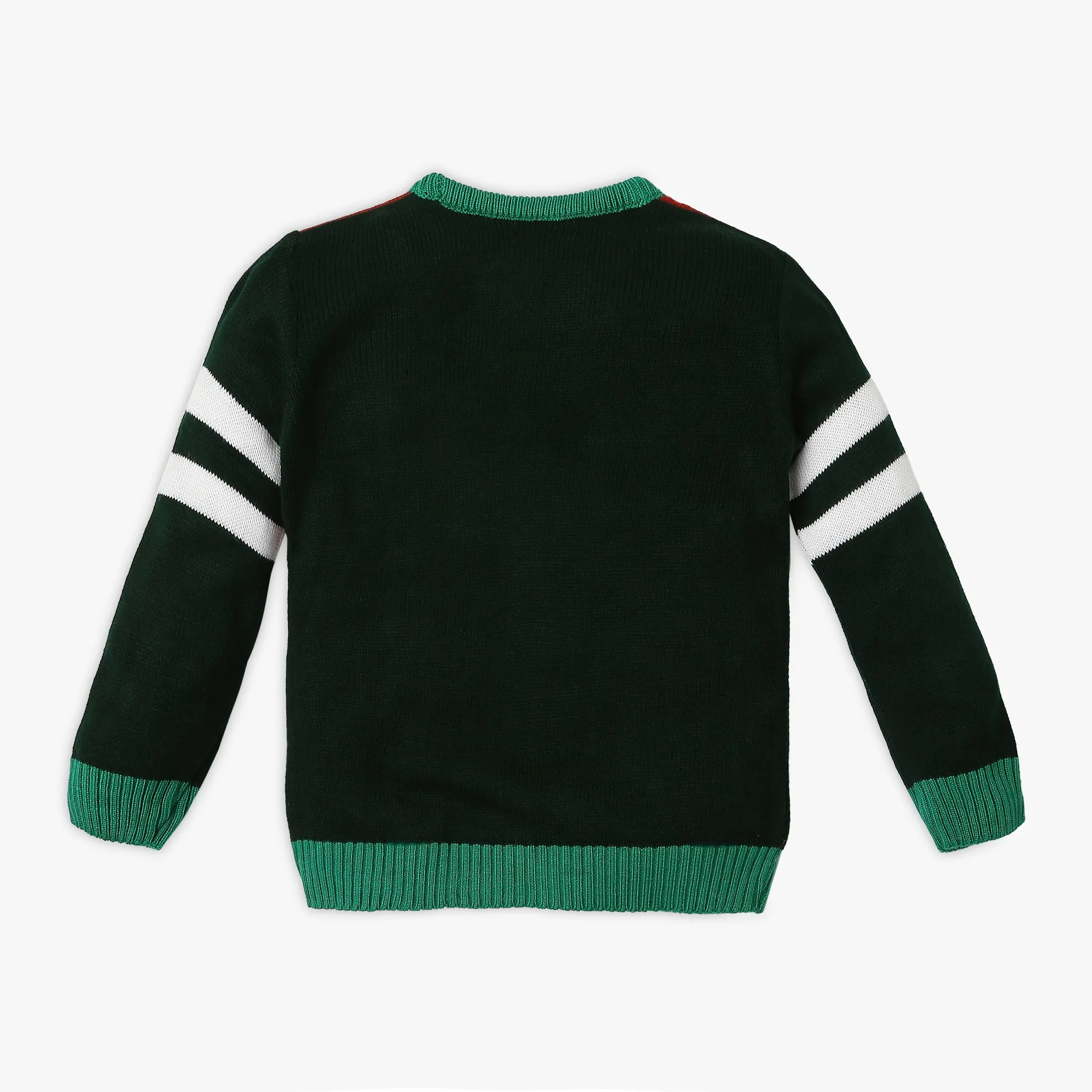 Boy's Regular Fit Jacquard Sweater