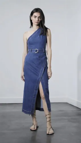 Karina Grimaldi - Stylish Carlisle Denim Dress in Denim Blue